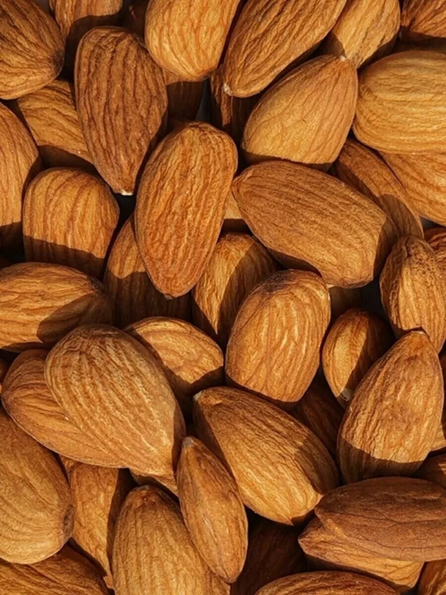 лечебный миндаль. миндаль сырой. сеть магазинов миндаль самара. миндаль в магазине магнит. миндаль 23/25 "terra nut" sogdiana.