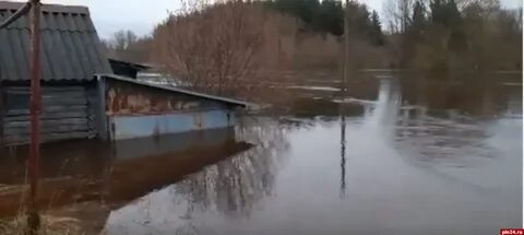 Погода в порхове на 14 дней
