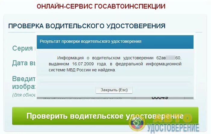 Гибдд проверка статус записи архивная. Проверка водительского удостоверения. Проверка водительского удостоверения по базе. Госавтоинспекция проверка водительского удостоверения.