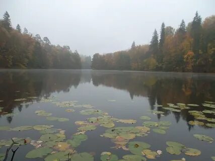 Пустынь нижегородская область
