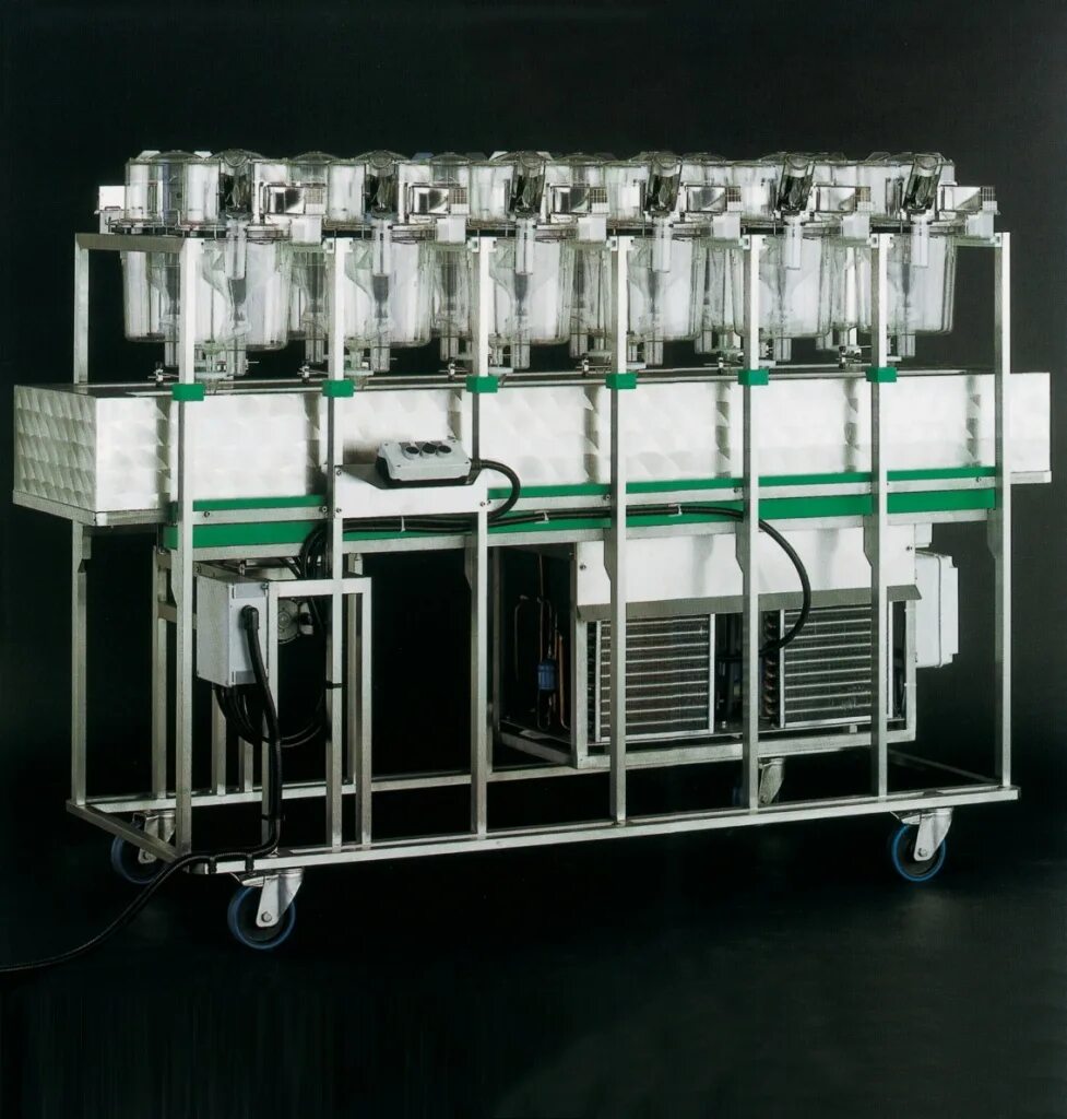 Метаболизм эукариотической клетки схема. Метаболическая клетка. Строение клетки, метаболизм. Метаболизм клетки. Метаболизм клетки.