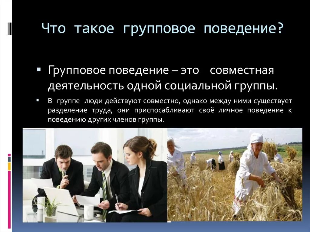 Особенности поведения народов. Групповое поведение. Примеры группового поведения. Групповое поведение это в психологии. Психологические особенности группового поведения.