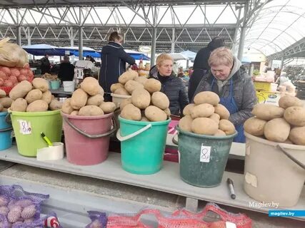 Рынок в могилеве