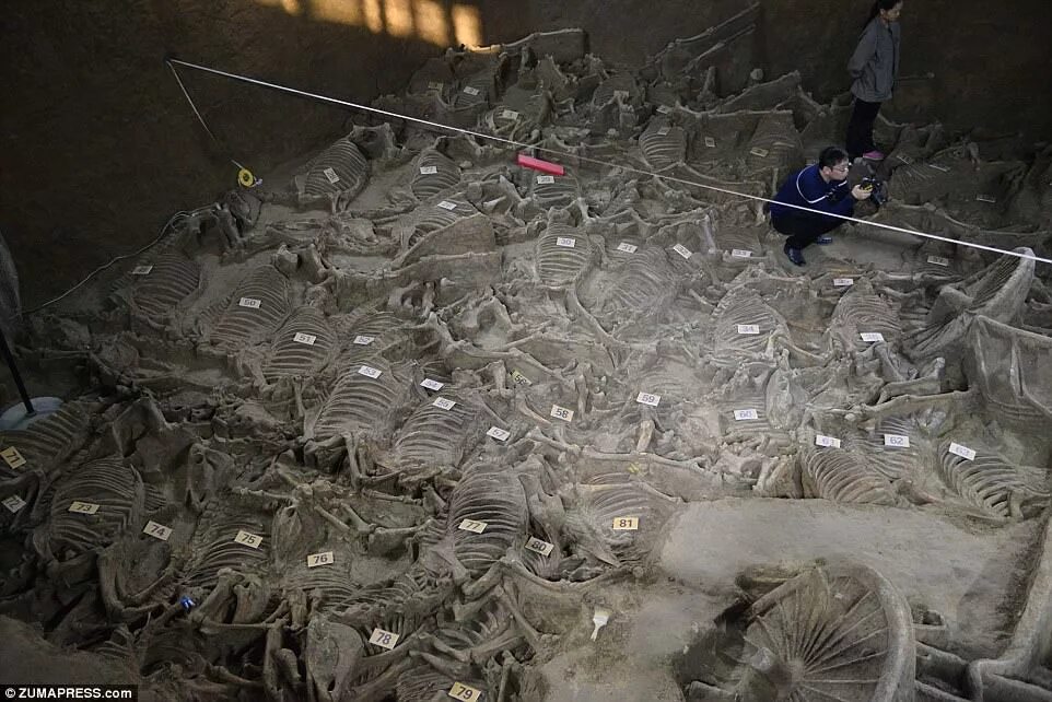 Раскопки китайских гробниц. Археологические раскопки в Китае.