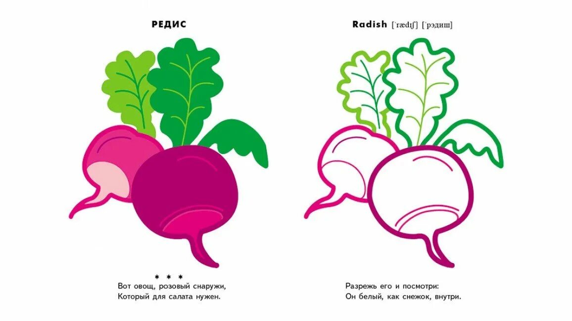 Варианты слова свекла. Овощи с цветным контуром. Раскраски для малышей овощи по образцу. Раскраски с образцами для детей. Овощи цветные раскраски.