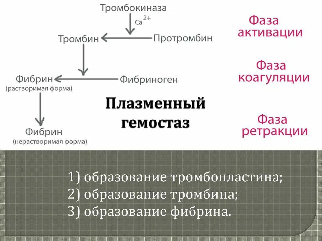 Протромбин тромбин фибриноген фибрин тромб. Плазменный гемостаз. фазы плазменного гемостаза. плазменно коагуляционный гемостаз. тромбокиназа.