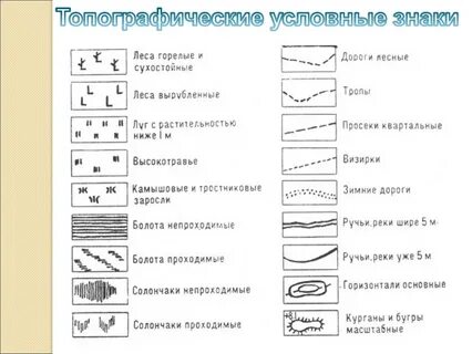 Географические условные линии