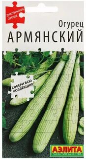 Армянская дыня огурец