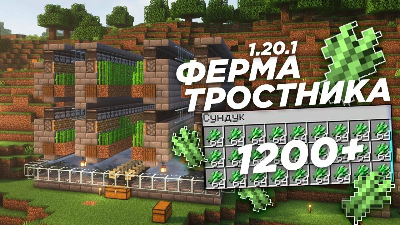 АФК ферма тростника. Ферма тростника 1.12.2. Ферма тростника в майнкрафт автоматическая. Компактная ферма тростника майнкрафт. Бесконечная ферма тростника