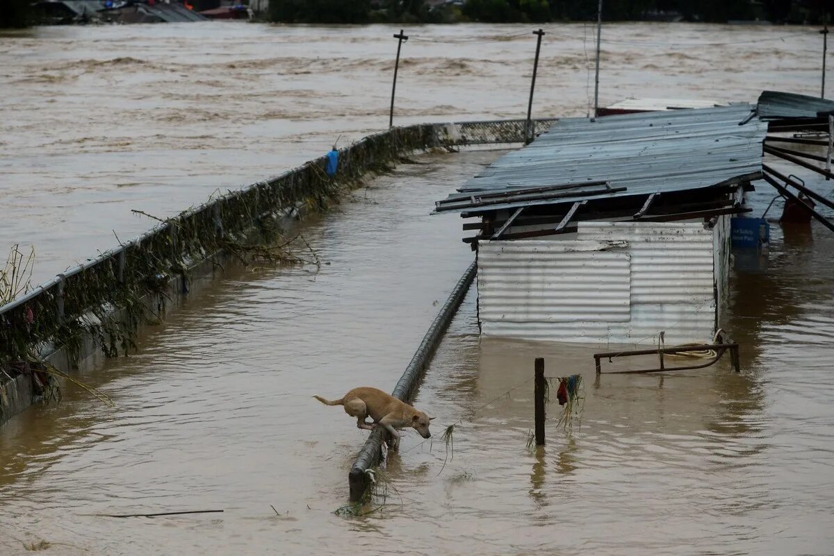 Тайфун Ливадия наводнение. Наводнение на Филиппинах сейчас. Тайфун затопило. Филиппины ураганы наводнения.