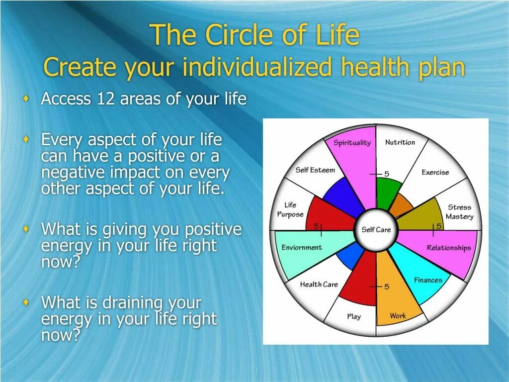 Circle of Life. Areas of Life. Circle in Life. Circle of Life Автор.