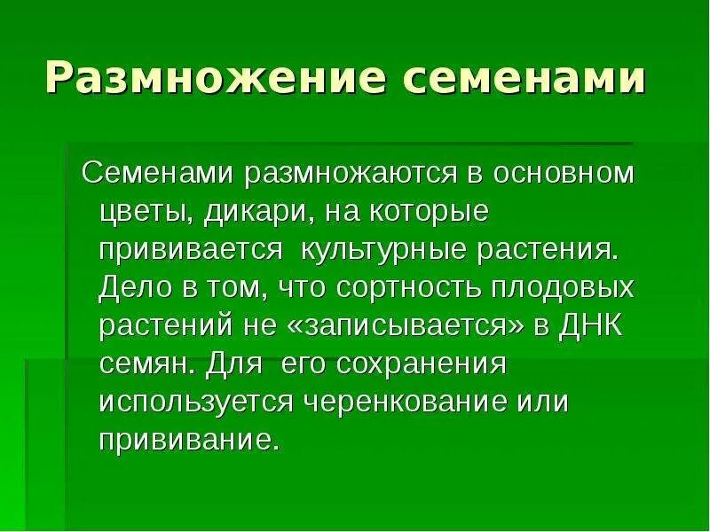 Какое значение имеет размножение. Размножение семенами. размножение растений семенами. семенное размножение. растения размножающиеся семенами.