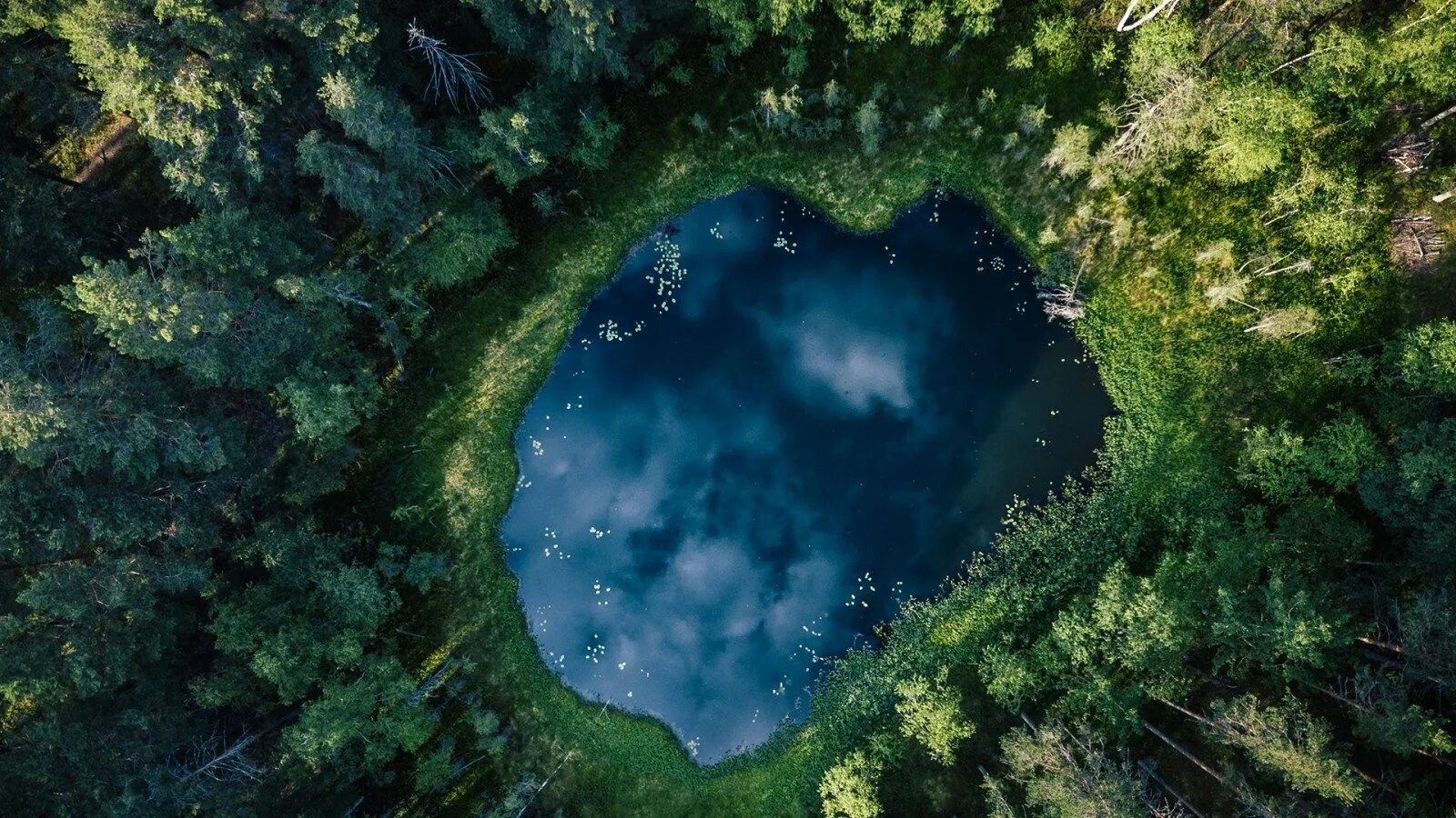 Водоем сверху