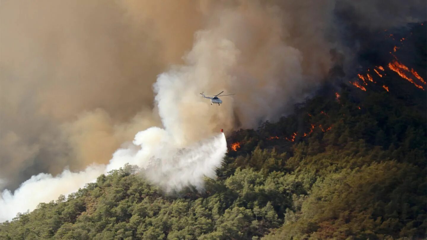 Кипел горел. Лесные пожары в Турции 2021. Пожар в Турции 2021. Пожар в Турции 2021 28 июля. Последствия лесных пожаров в Турции 2021.