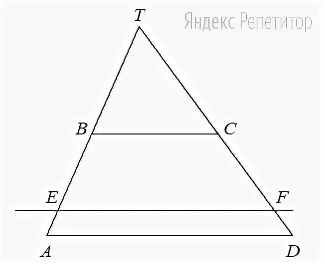 Прямая параллельная основаниям трапеции.