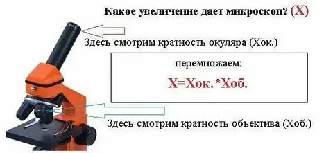 Какое общее увеличение дает