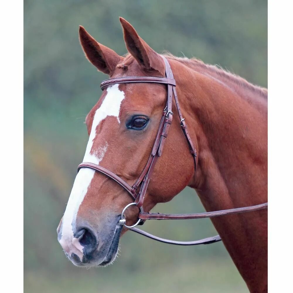 Повод лошадиный. Узда для лошади. Seat on horse what is it called. Бита лошадка. Удила для лошади.