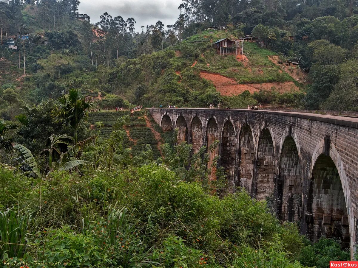Девятиарочный мост на шри ланке. Акведук шри ланка мост. 9 ти арочный мост. Виадук шри ланка. Элла девятиарочный мост.