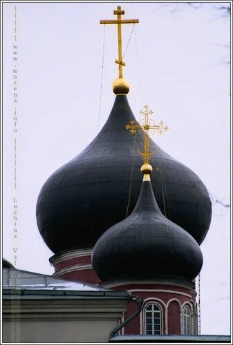 Церковь с черными куполами в москве. Черные купола это. Храм с чёрными маковками москва. Черное будущее книга. Храм с черными куполами.