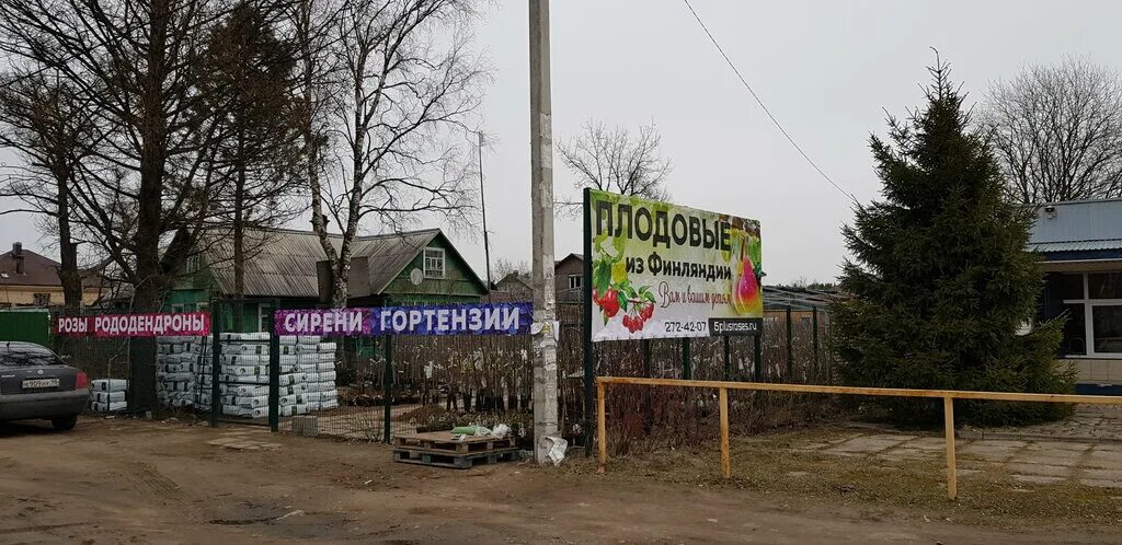 погода в дранишниках