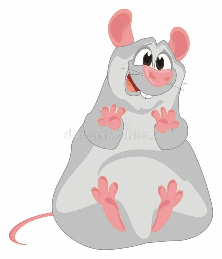 Жир мыши. Толстая мышь. Мышь сидит. Крыса сидит. Толстая крыса.