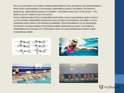 Карточка пловца