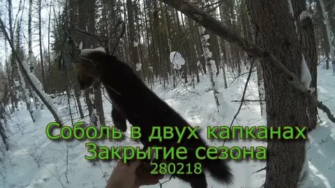 Силок 2
