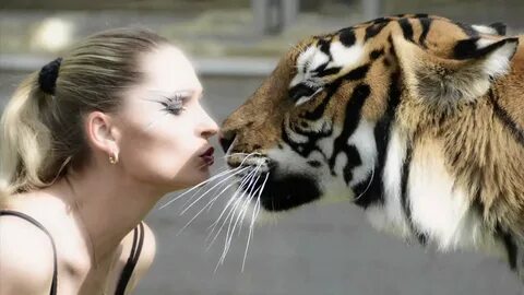 Me tiger