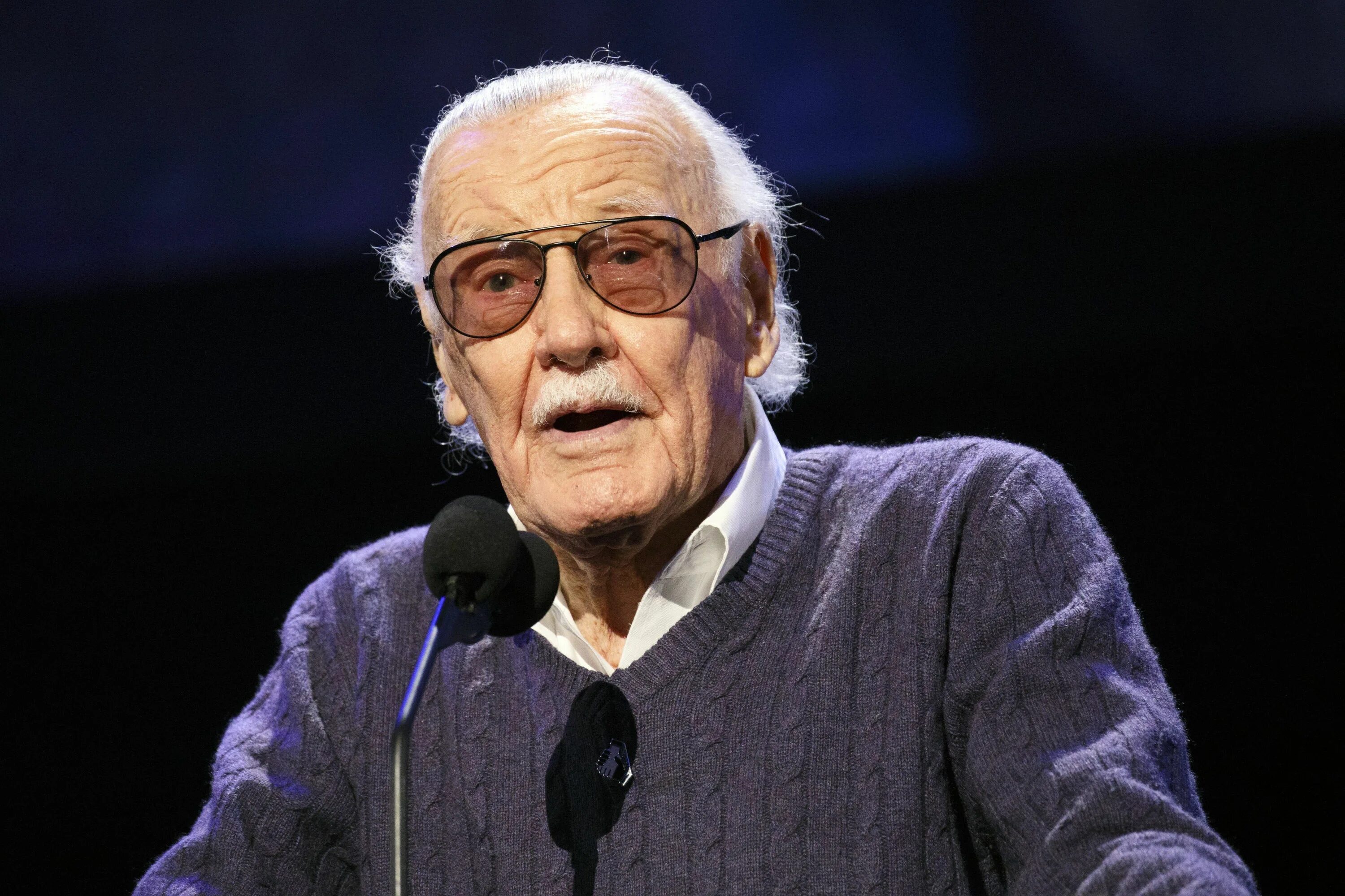 Stan Lee. Стэн ли Марвел. Стэнли ли. Стэнли марвел