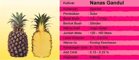 Malaysian сколько мг
