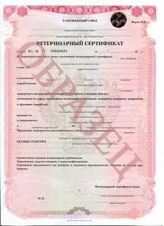 Форма 5 животных