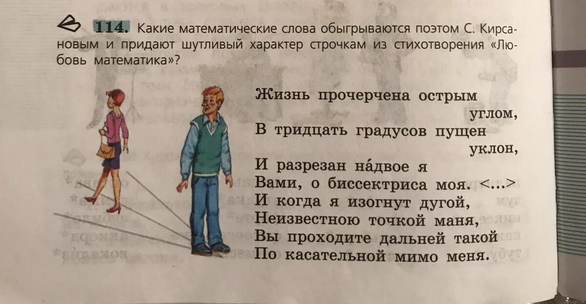 Идеалист багаж