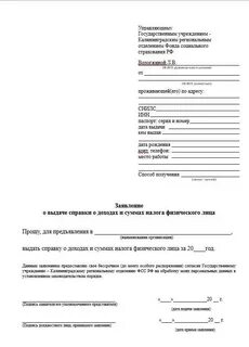 Источник получаемого дохода в заявлении