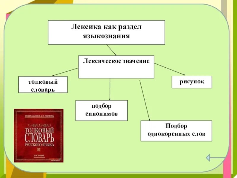 Лексика как раздел языкознания. Лексика как раздел лингвистики. Лексикология как раздел. Лексика разделы лексики.