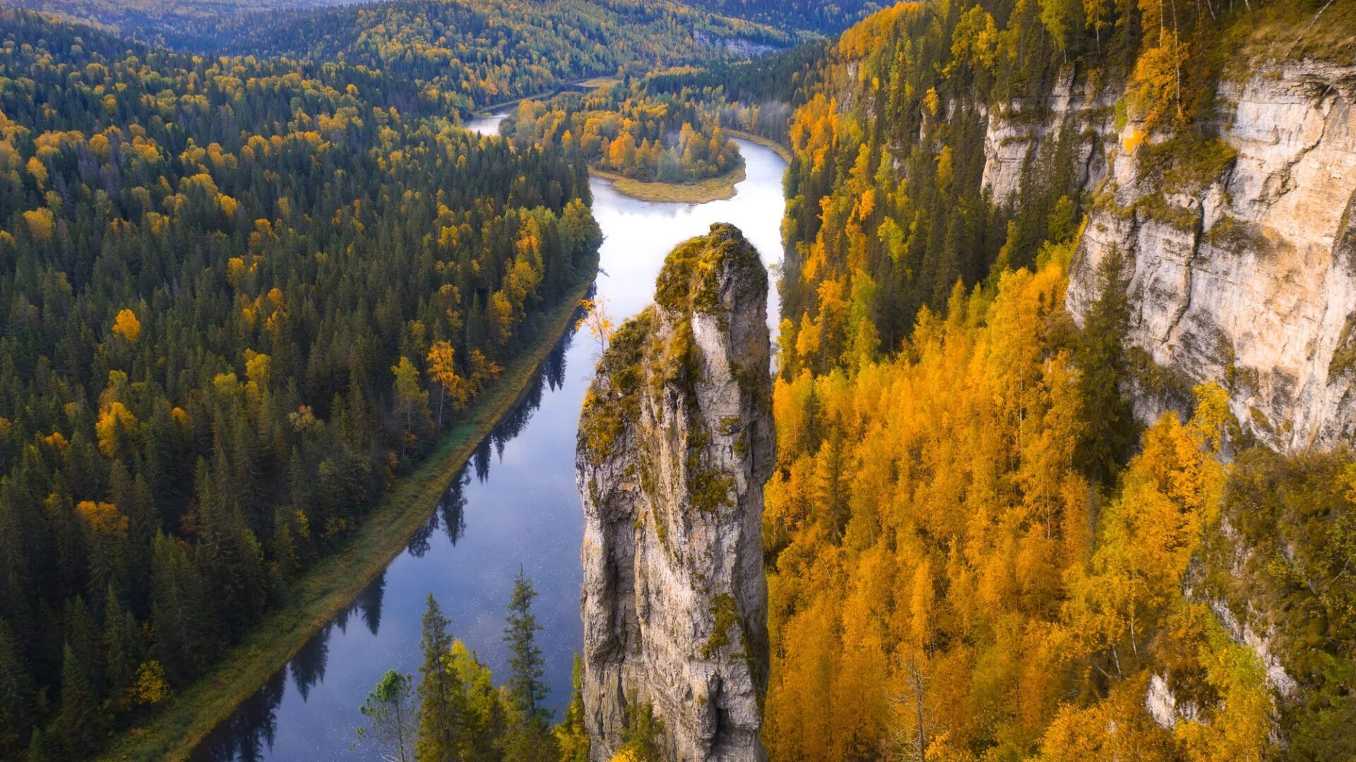 Чертов лес
