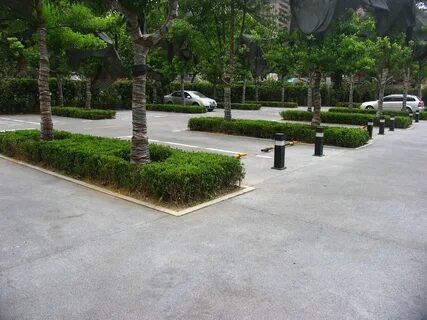 L parking