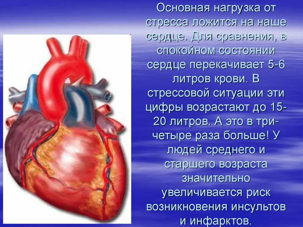 Сильно стучит сердце что делать. Биение человеческого сердца. Почему быстро бьется сердце в спокойном состоянии. Сердце бьётся сильно и быстро. Почему сердце бьётся быстро.