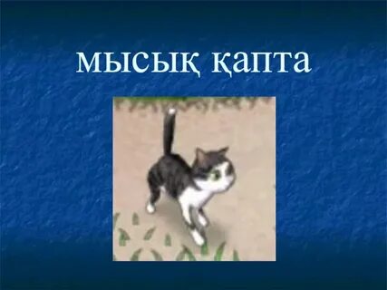 Порно секс қызбен алғаш рет видео