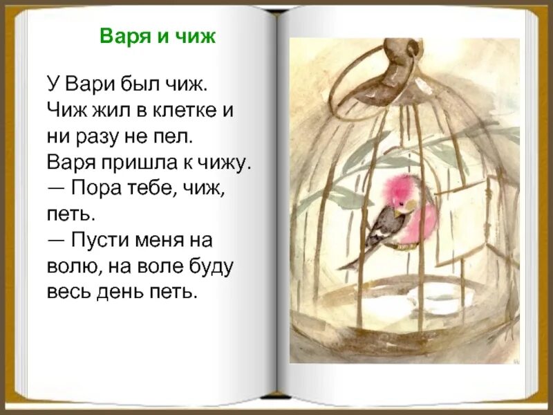 Л. Н. Толстого «у Вари был Чиж». Рассказ л н Толстого Варя и Чиж. Лев Николаевич толстой у Вари был Чиж. У Вари был Чиж рассказ Толстого. Толстой птичка презентация