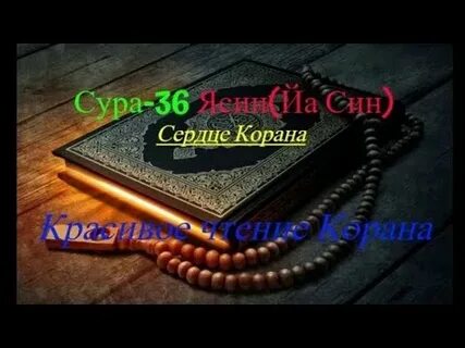 Сура сердца