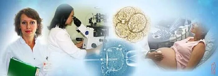 Вспомогательные репродуктивные технологии. Вспомогательные репродуктивные технологии классификация. Искусственные методы репродукции человека. Биологические особенности репродукции человека. Эко экстракорпоральное оплодотворение.