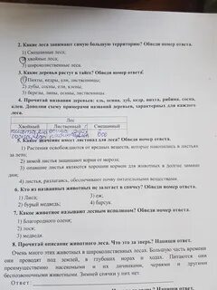 Лесу под цифрой 5