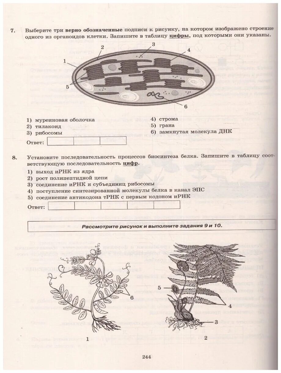 Сборник заданий егэ 2023