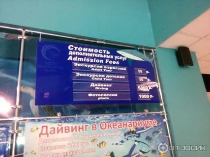Океанариум адлер расписание