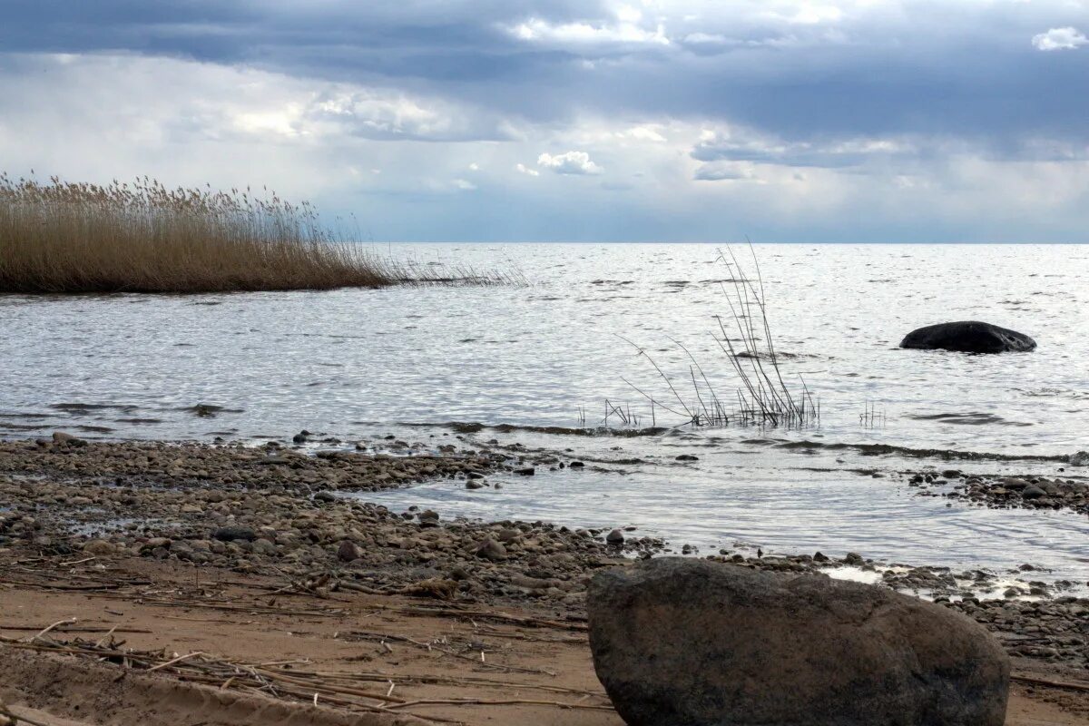 Острова чудского озера
