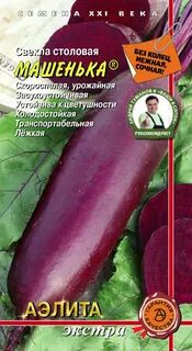 Свекла египетская плоская описание отзывы