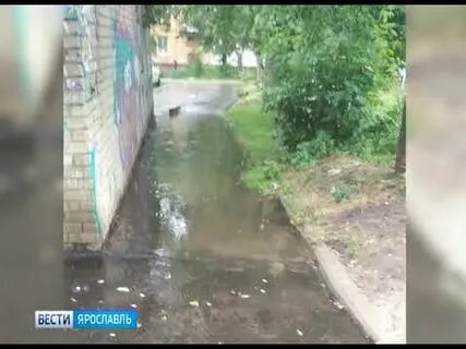 Залило под