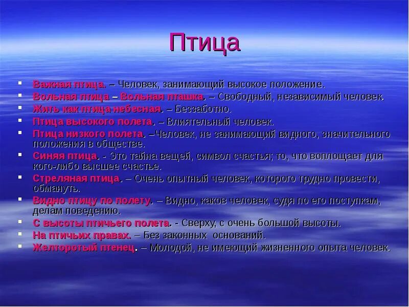 Видна по полету. Важная птица значение фразеологизма. Птица высокого полёта фразеологизм. Важная птица фразеологизм. Вольная птица фразеологизм.