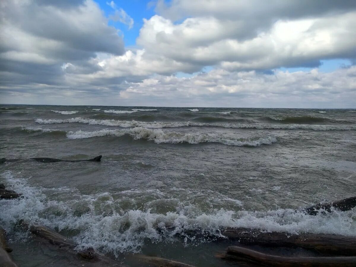 Шторм августа. Обское море Бердск. Обское море звезда. Шторм на Обском море. Шторм на Обском водохранилище.