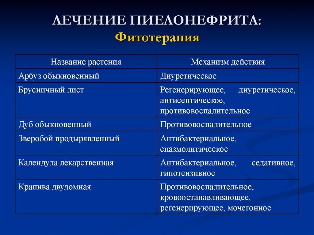Пиелонефрит лечение препараты. Пиелонефрит фитотерапия. фитотерапия при хроническом пиелонефрите. лекарства от пиелонефрита почек. фитотерапия при пиелонефрите у детей.